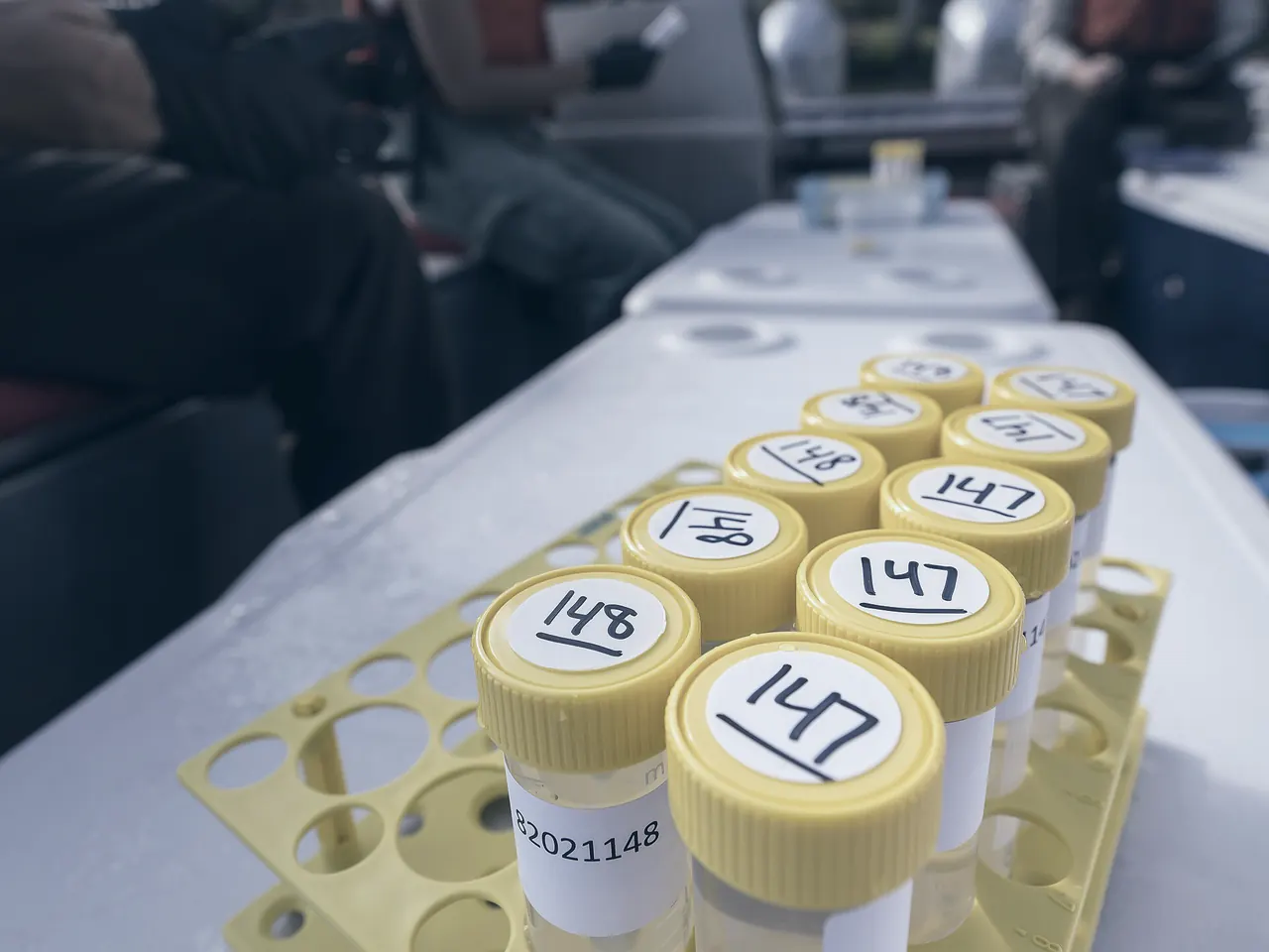 Numbered sample tubes from a field collection in a rack