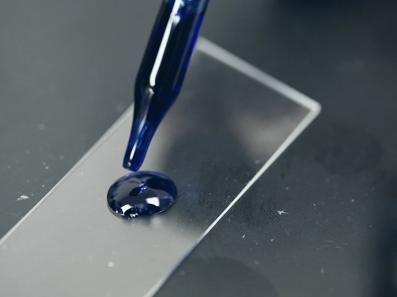 Pipette tip placing a drop of blue liquid on a glass slide