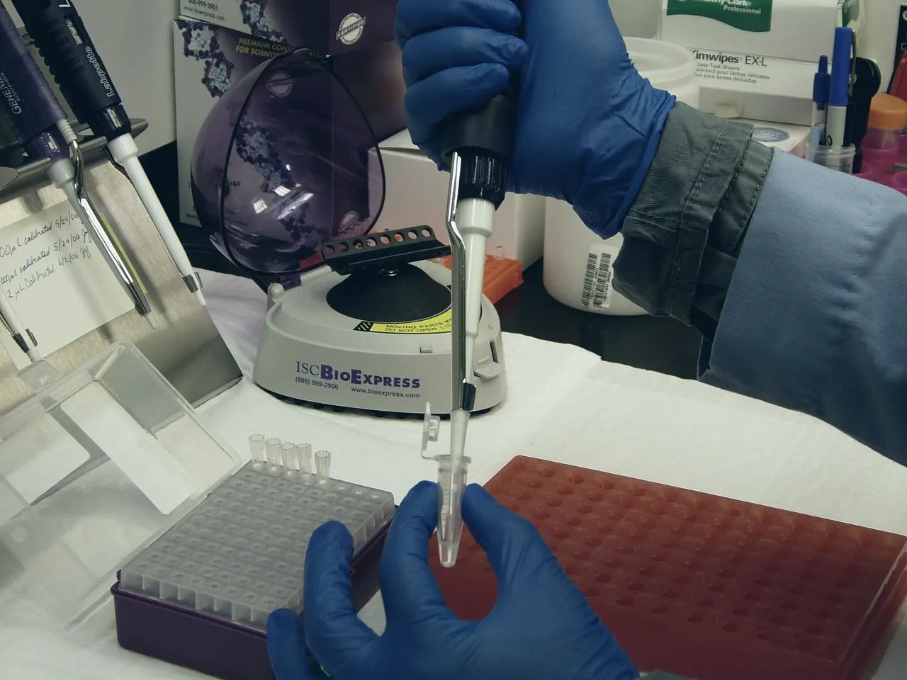 Gloved hands pipetting samples into a tube rack next to a centrifuge
