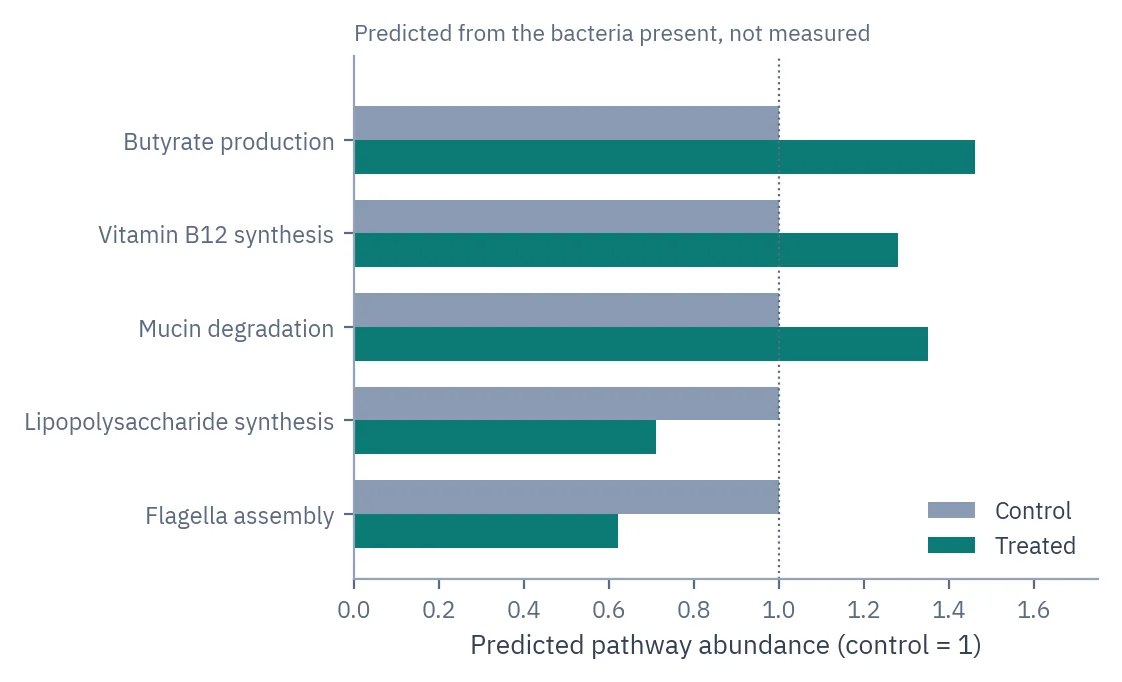 Bar chart of predicted pathway abundance in treated and control samples for five pathways; butyrate production is higher and flagella assembly lower after treatment.