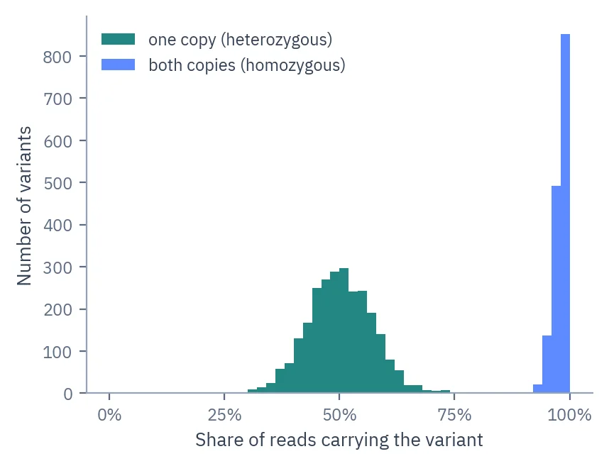 Histogram of the share of reads carrying each variant, with one peak near 50% for heterozygous and one near 100% for homozygous variants.
