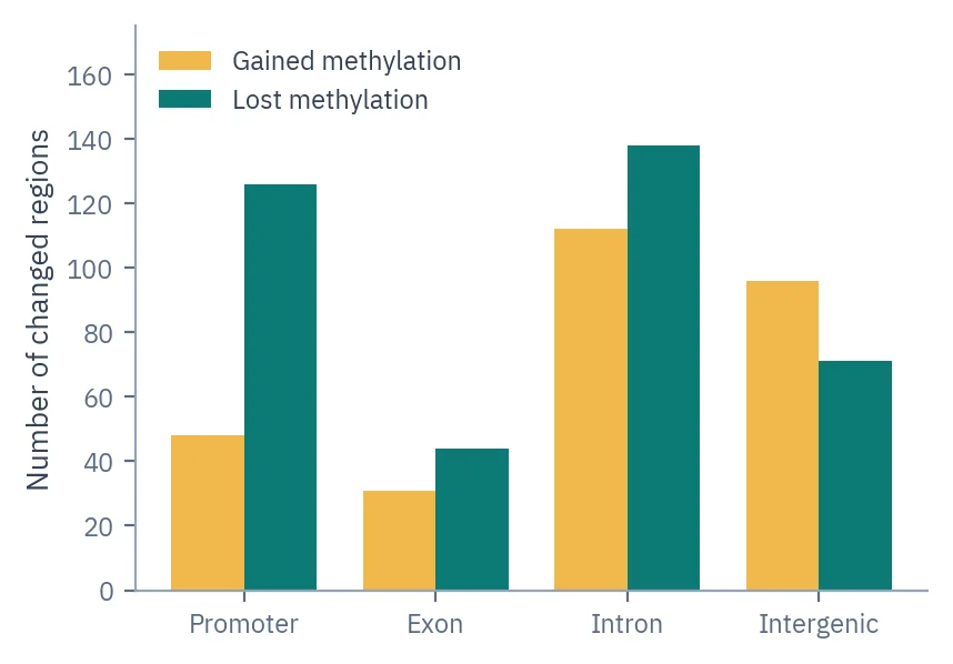 Grouped bar chart of regions that gained or lost methylation in promoters, exons, introns and intergenic DNA.