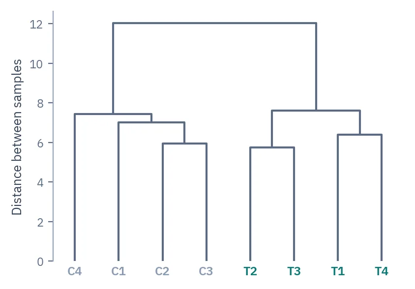 Dendrogram of eight samples clustered by methylation profile; the four treated and four control samples form separate branches.